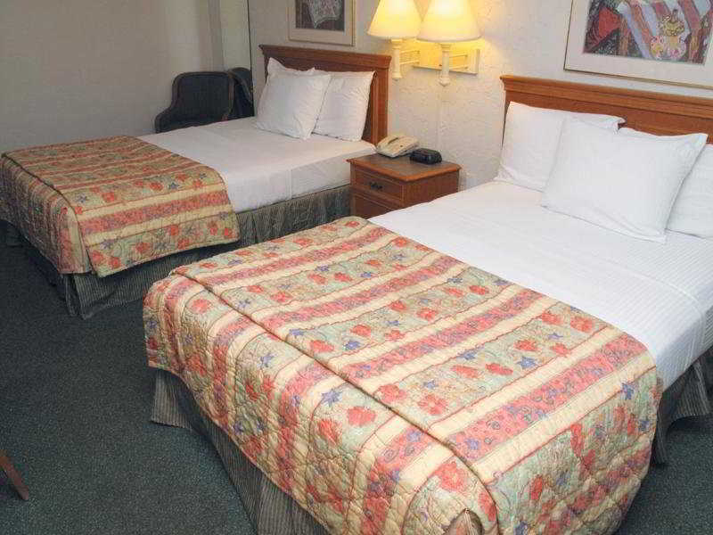 Red Roof Inn Tampa Bay - Αγία Πετρούπολη Δωμάτιο φωτογραφία