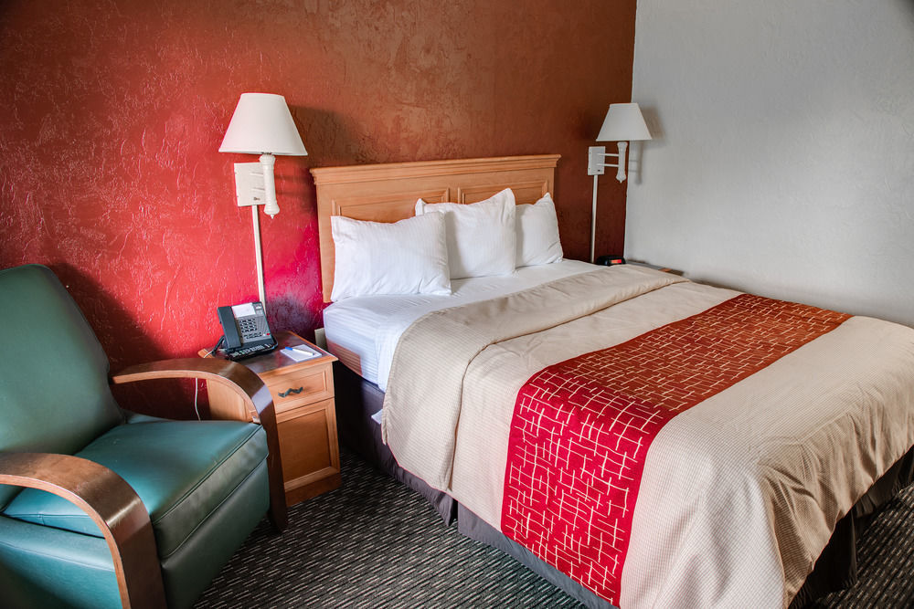 Red Roof Inn Tampa Bay - Αγία Πετρούπολη Εξωτερικό φωτογραφία
