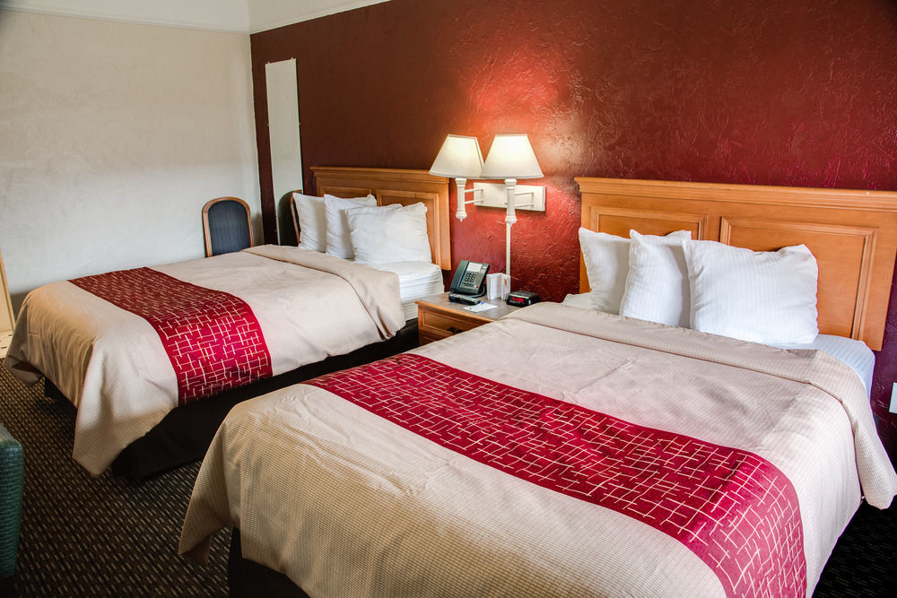 Red Roof Inn Tampa Bay - Αγία Πετρούπολη Εξωτερικό φωτογραφία