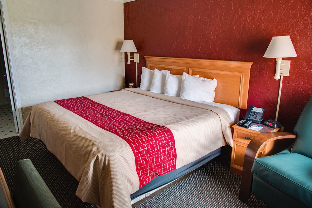 Red Roof Inn Tampa Bay - Αγία Πετρούπολη Εξωτερικό φωτογραφία